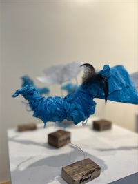 bird 2.jpg
